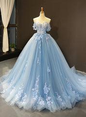 Blue Ball Gown Tulle Appliques Off The Shoulder Backless Sweet 16 Prom Dresses