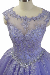 Lavender Ball Gown Quinceanera Dresses Lace Appliqued Dress