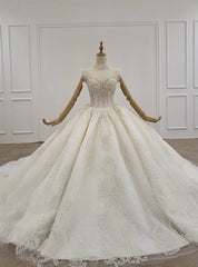 Light Champagne Ball Gown Tulle Sequins Beading Wedding Dress With Train