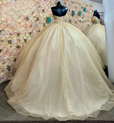 Yellow Ball Gown Tulle Off-the-Shoulder Quincenara Dresses