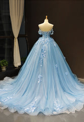 Formal Dresses Pink, Blue Tulle Long A-Line Prom Dress, Off the Shoulder Evening Dress