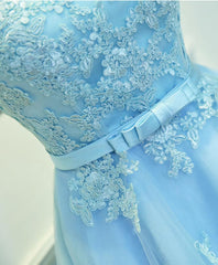 Party Dress Designer, Light Blue Lace Tulle Short Prom Dress, Homecoming Dress